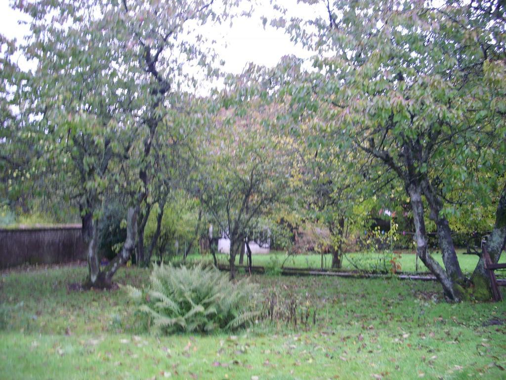 La Demeure Avesnoise Bed & Breakfast Wignehies Exterior photo